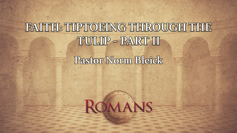 Faith: Tiptoeing Through the TULIP – Part 2