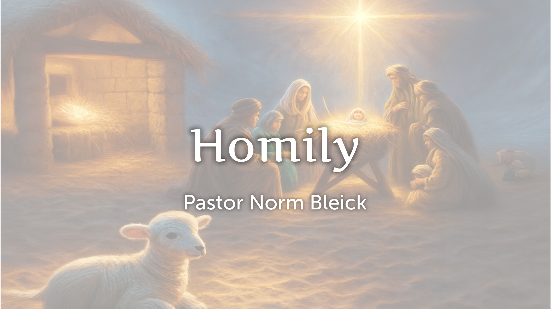 Homily