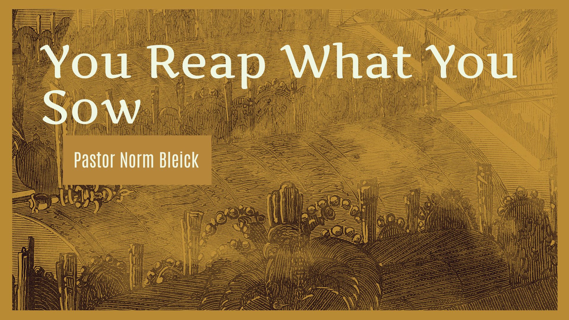 You Reap What You Sow