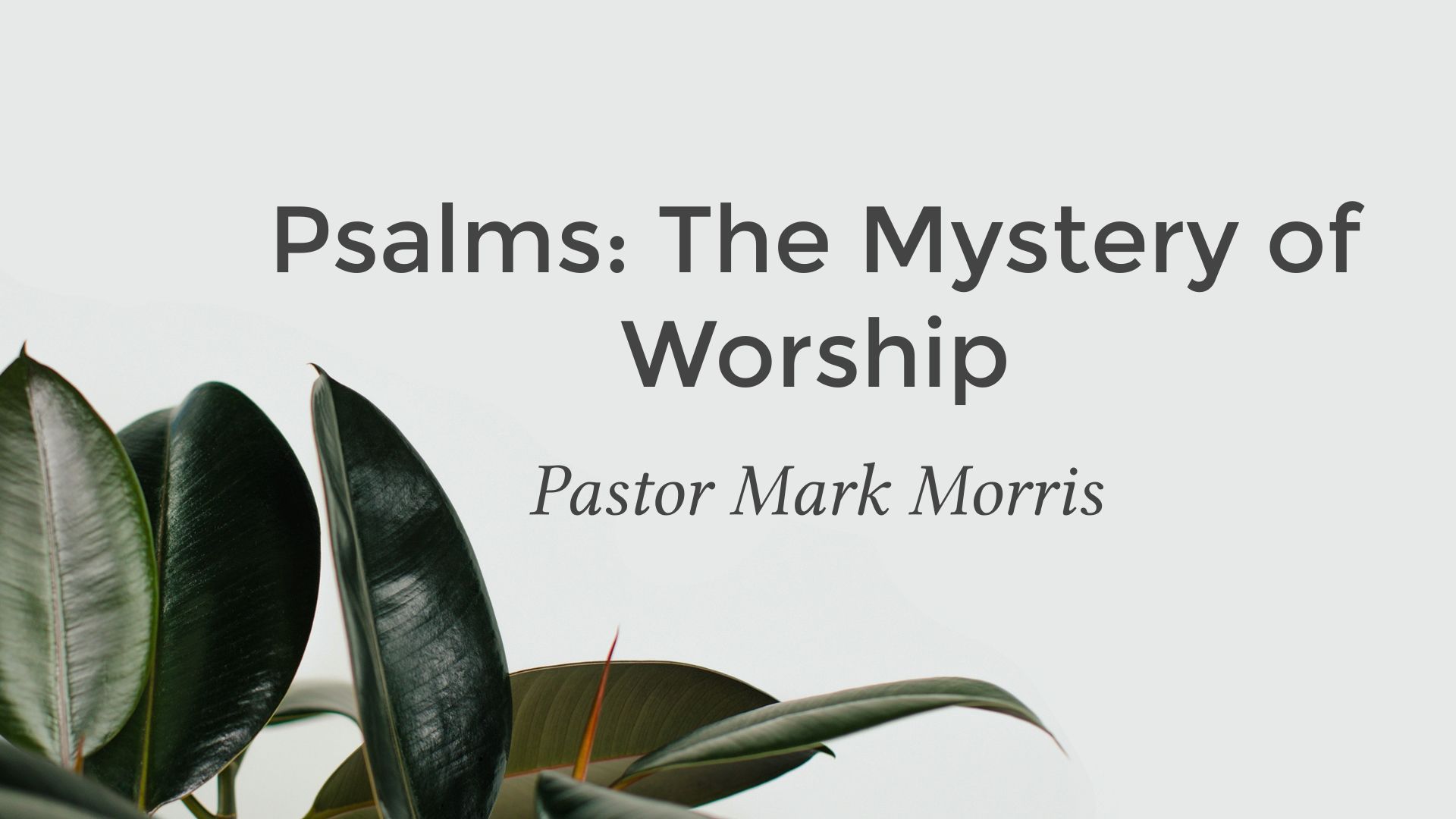 Psalms: The Mystery of Worship