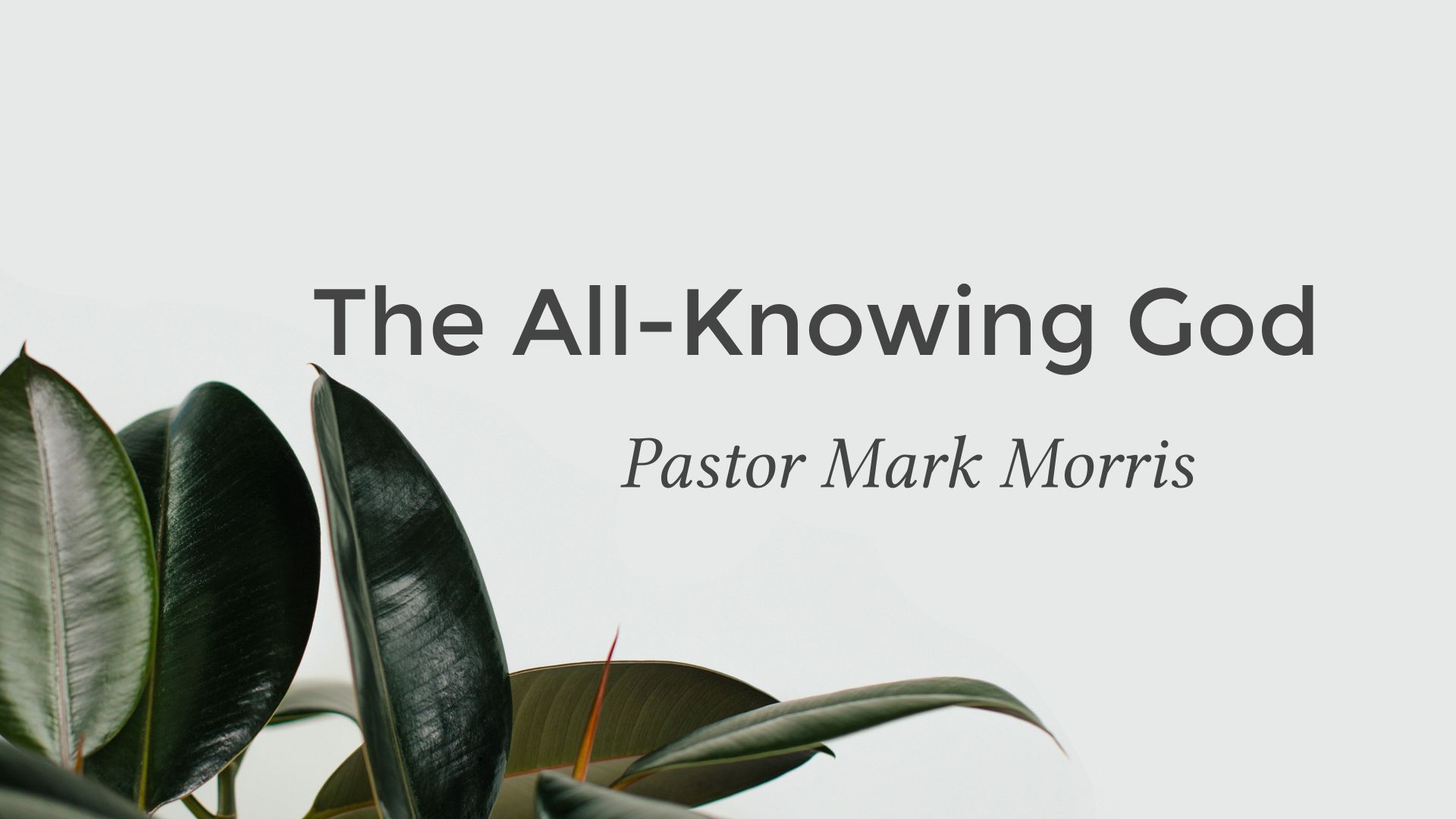 The All-Knowing God
