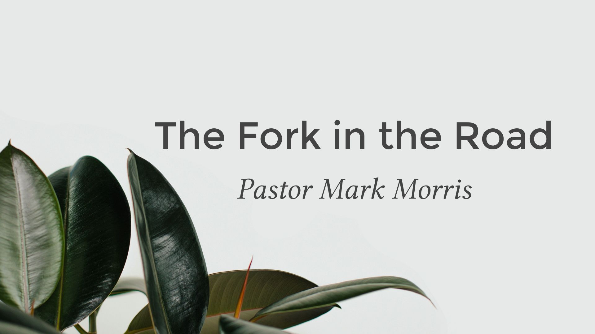 The Fork in the Road