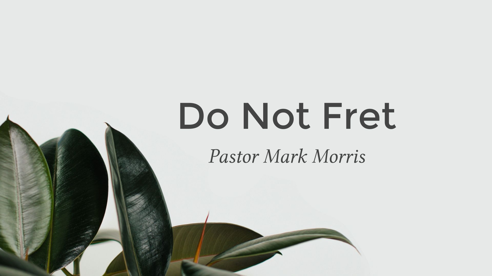 Do Not Fret