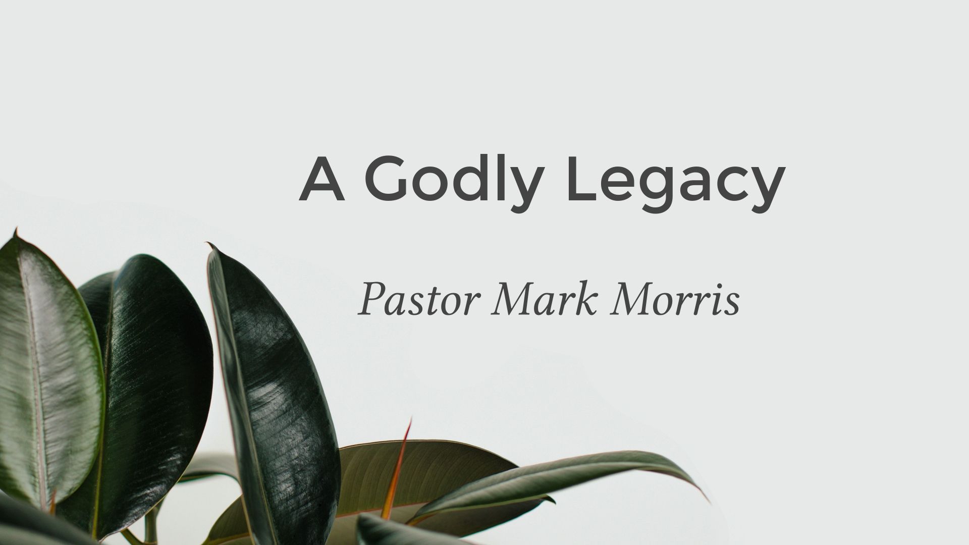 A Godly Legacy