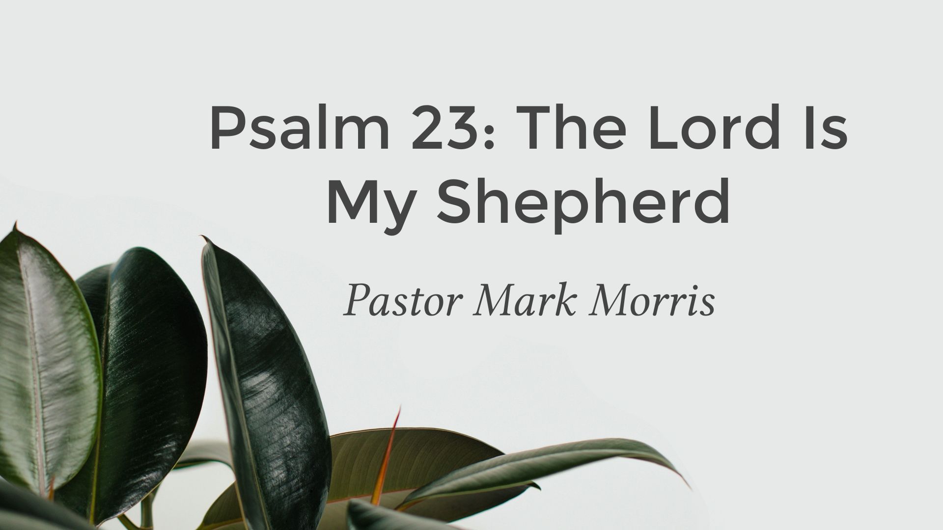 Psalm 23: The Lord Is My Shepherd