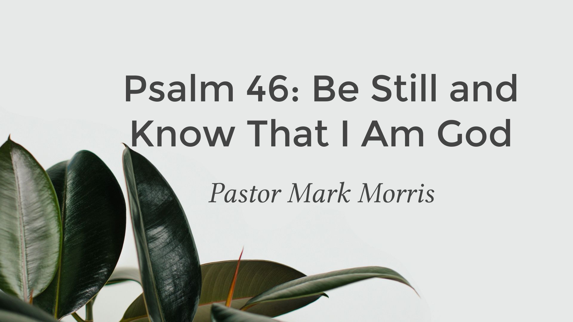 Psalm 46: Be Still and Know That I Am God