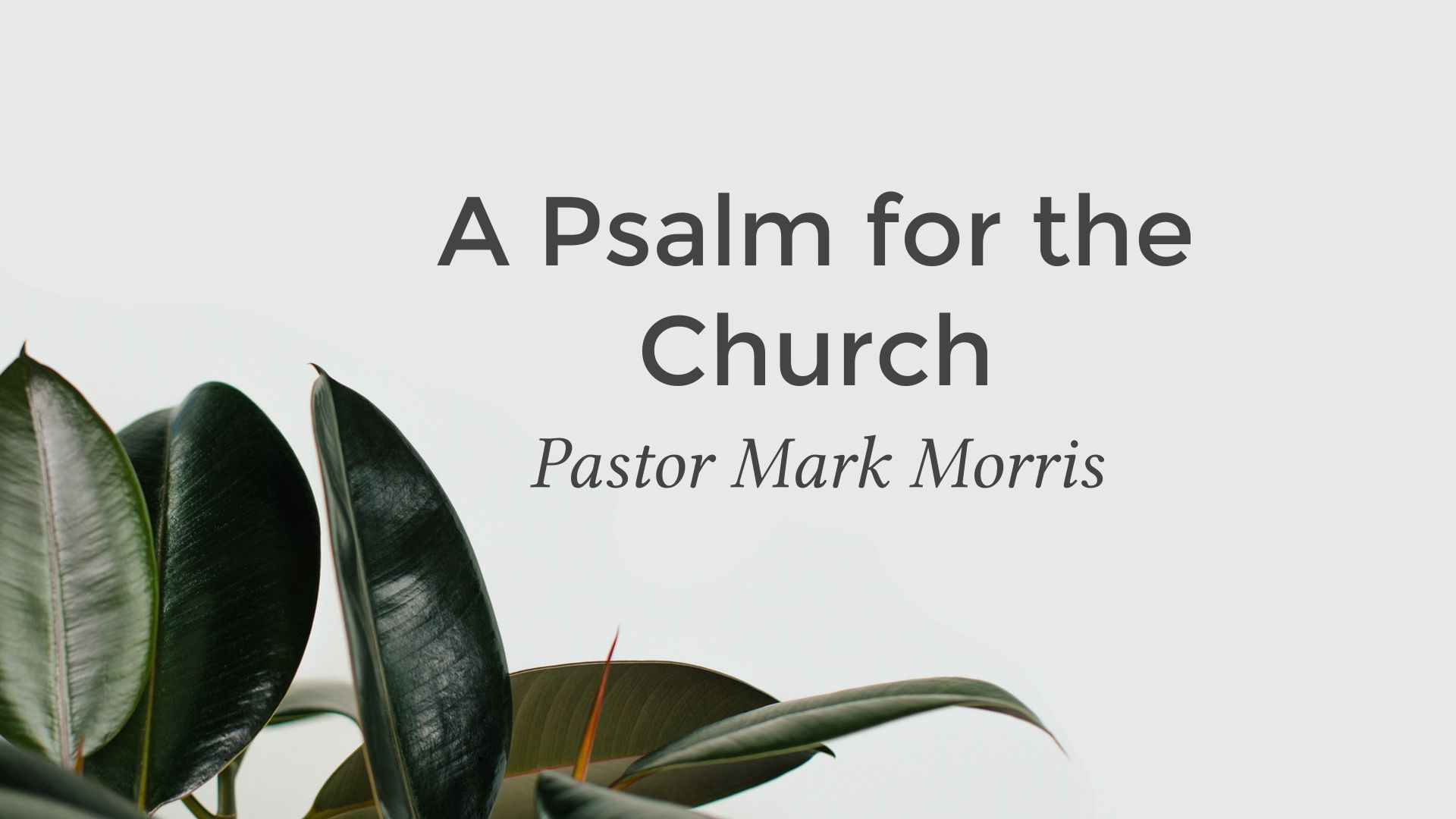 A Psalm for the Church